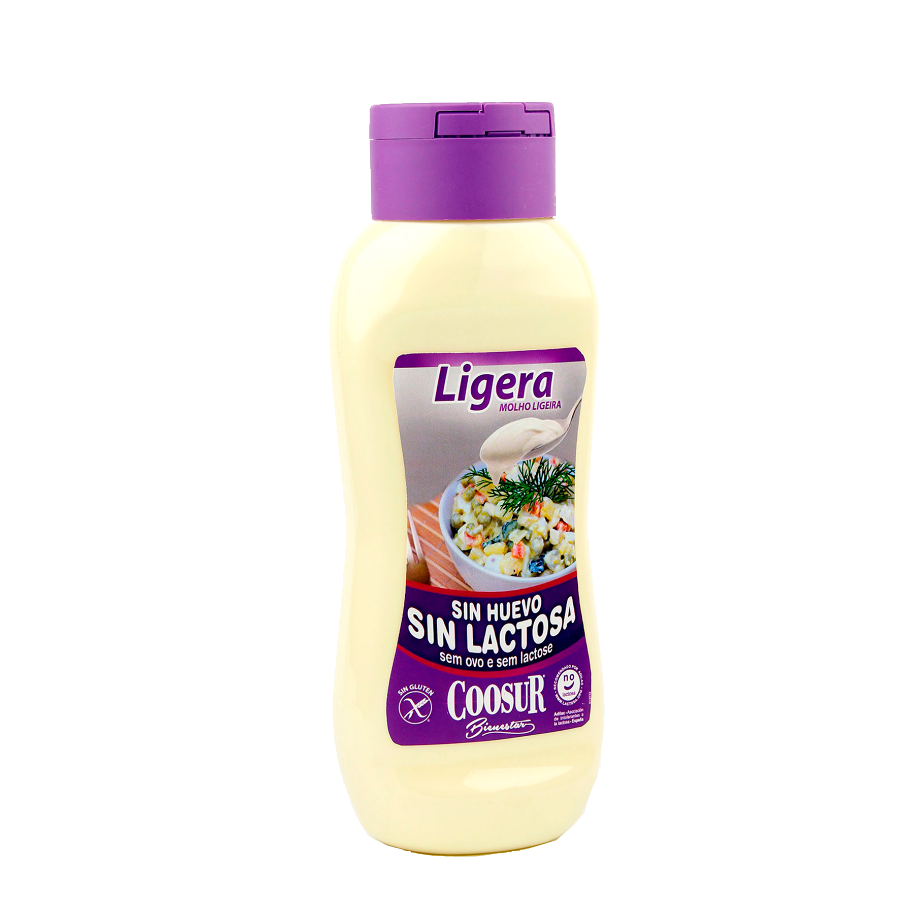 Salsa Ligera sin Huevo y sin Lactosa